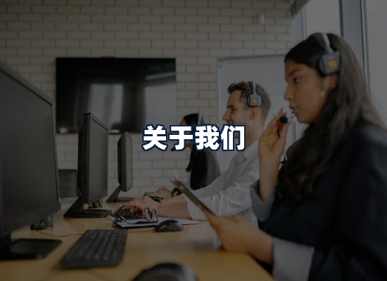 关于我们